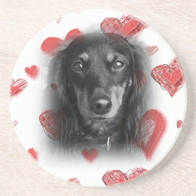 Dachshund with Red Hearts Coaster (Front)