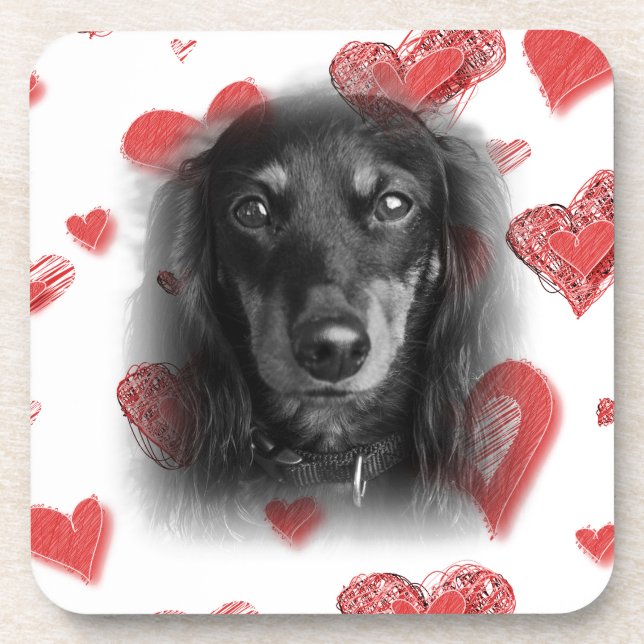 Dachshund with Red Hearts Coaster (Front)