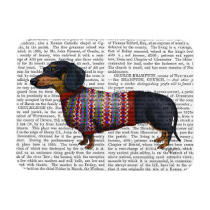 Dachshund With Woolly Sweater Magnet