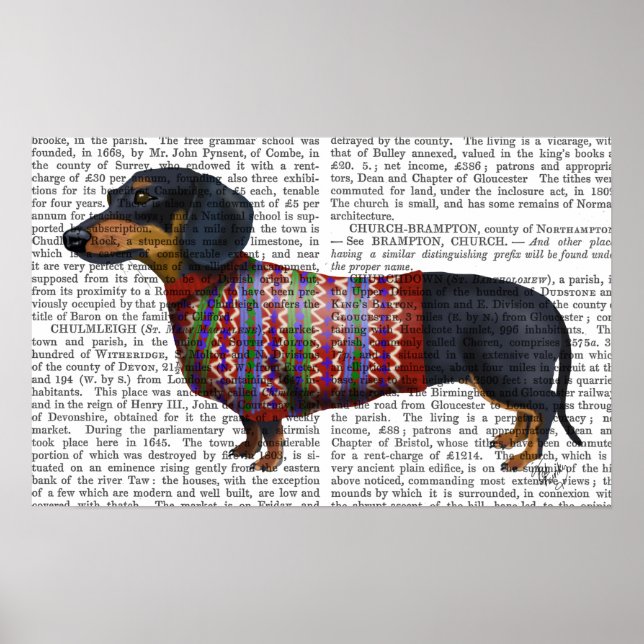 Dachshund With Woolly Sweater Poster (Front)