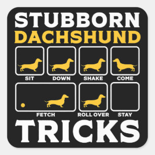 Dachshund Women Men Funny Mum Dad Gift Dog Lover Square Sticker