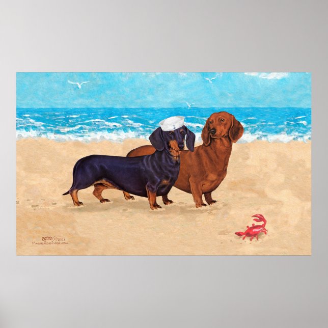 Dachshunds at the Beach  Poster (Front)