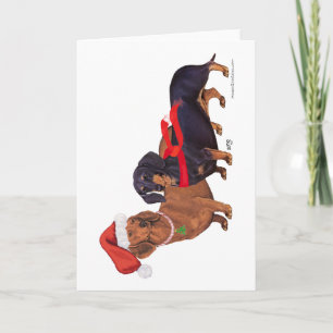 Dachshunds Christmas Holiday Card