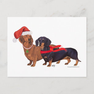 Dachshunds Christmas Holiday Postcard