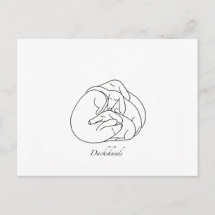 Dachshunds 'Curled Together'.jpg Postcard