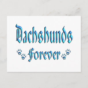 Dachshunds Forever Postcard