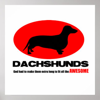 Dachshunds -God made them extra long Poster