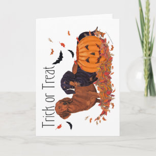 Dachshunds Halloween Card