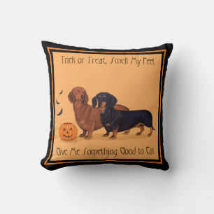 Dachshunds Halloween Cushion