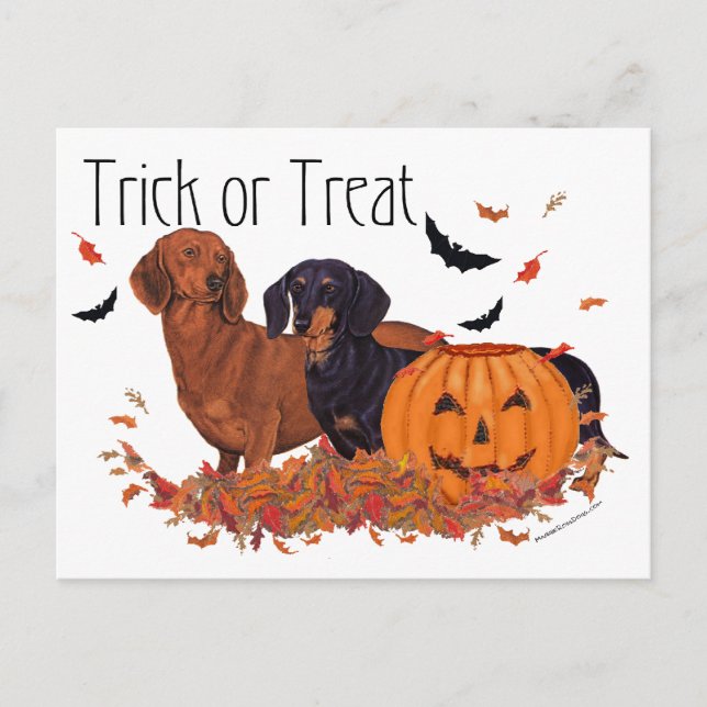Dachshunds Halloween Postcard (Front)