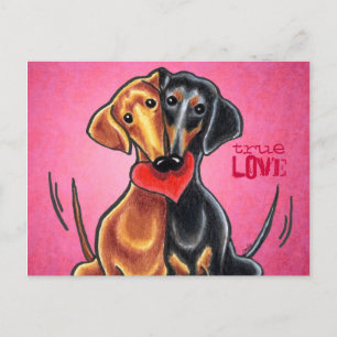 Dachshunds Heart Love Message Custom Postcard