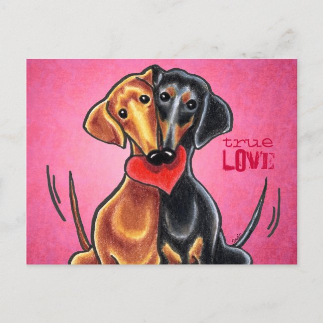Dachshunds Heart Love Message Custom Postcard (Front)