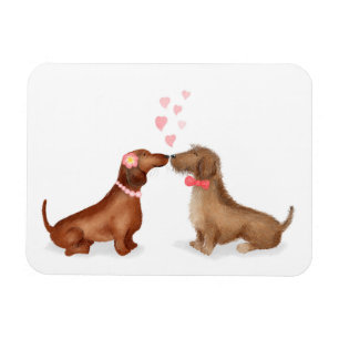 Dachshunds in love fridge magnet (girl/boy)