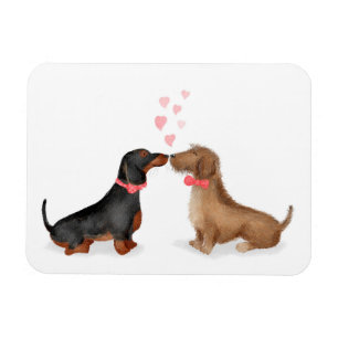 Dachshunds in love fridge magnet (two boys)