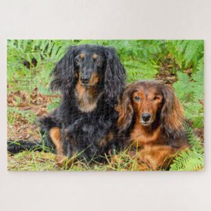 Dachshunds Jigsaw Puzzle