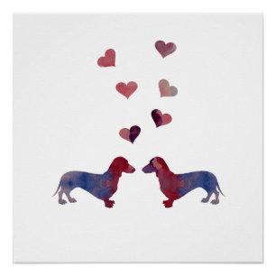 Dachshunds Poster