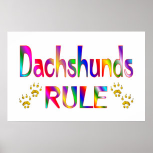 Dachshunds Rule Poster