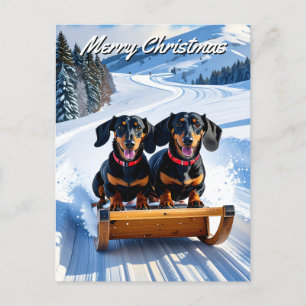 Dachshunds Sled Christmas Postcard