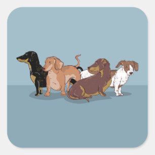 Dachshunds Square Sticker