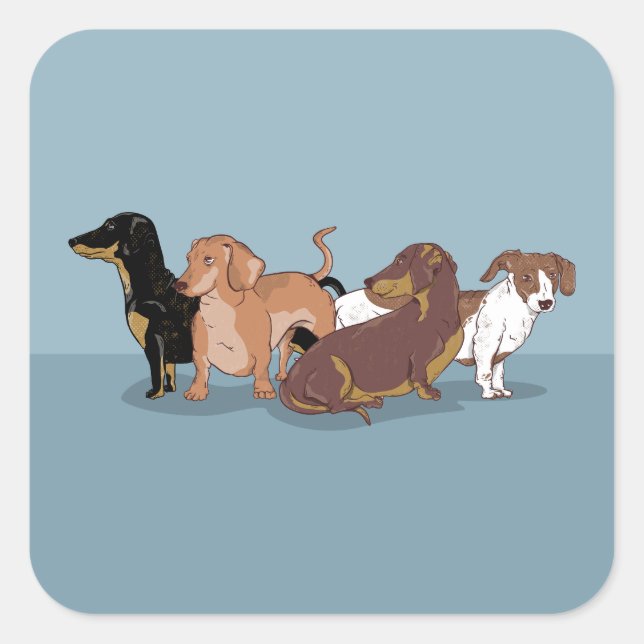Dachshunds Square Sticker (Front)