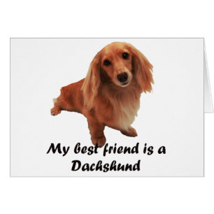 "Dackel"