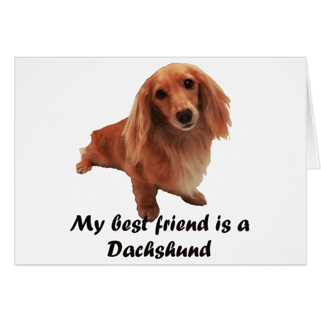 "Dackel" (Front Horizontal)