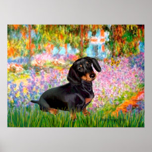 Dacshund (black and tan 16) -  Garden Poster
