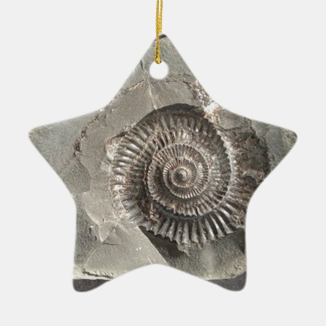 Dactylioceras ammonite in rock ceramic tree decoration (Front)