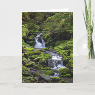 Dad Birthday General Card