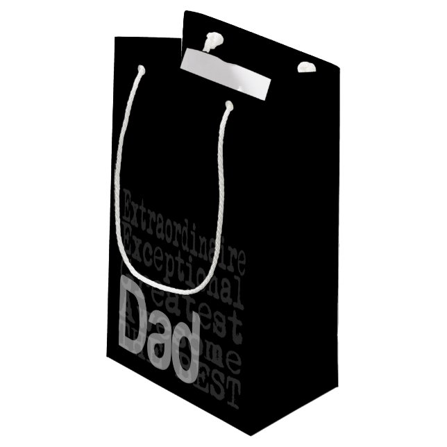 Dad Extraordinaire Small Gift Bag (Back Angled)