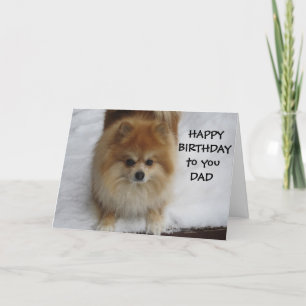 "DAD" HAPPY BIRTHDAY SAYS THE POMERANIAN CARD