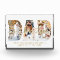 Dad I Love You 3 Photo Collage Script Hearts Gold