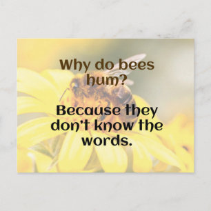 DAD JOKE:  Bee Humour Postcard