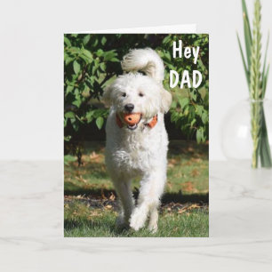 ****DAD*** U MAKE EVERYDAY HAPPY-BIRTHDAY LOVE CARD