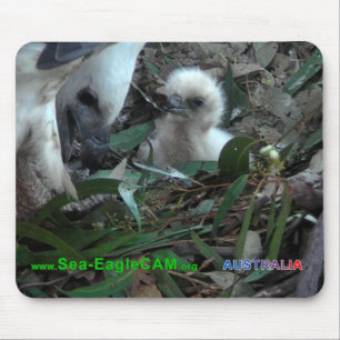 Dad with S2 Mousepad Horizontal 5