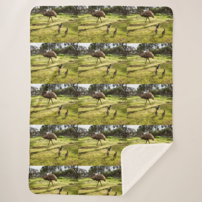 Daddy Emu With His Chicks, Sherpa Blanket (Front)