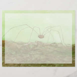 Daddy Long Legs