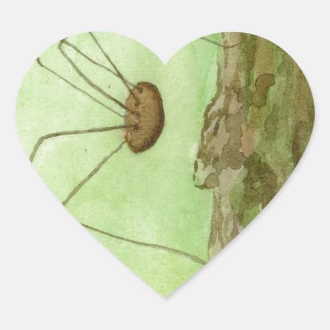 Daddy Long Legs Heart Sticker (Front)