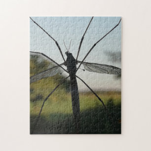 Daddy long legs on a window. jigsaw puzzle