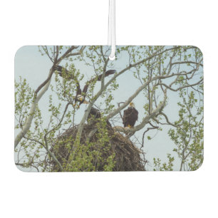 Daddys Home Car Air Freshener
