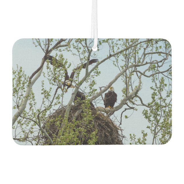 Daddys Home Car Air Freshener (Front)