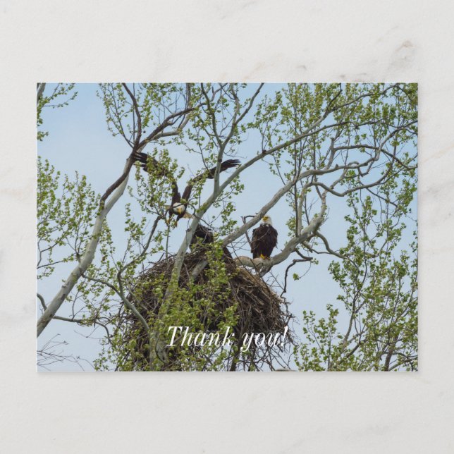 Daddys Home Postcard (Front)