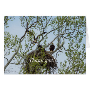Daddys Home Thank You Card