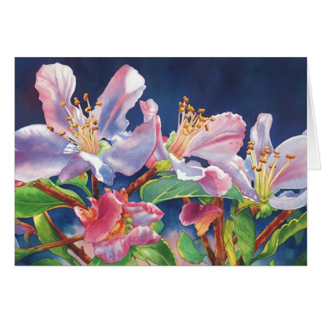 Dad's Apple Tree (Front Horizontal)