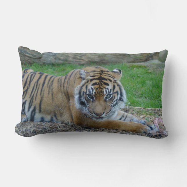 Dad's Tiger Lumbar Cushion (Front)
