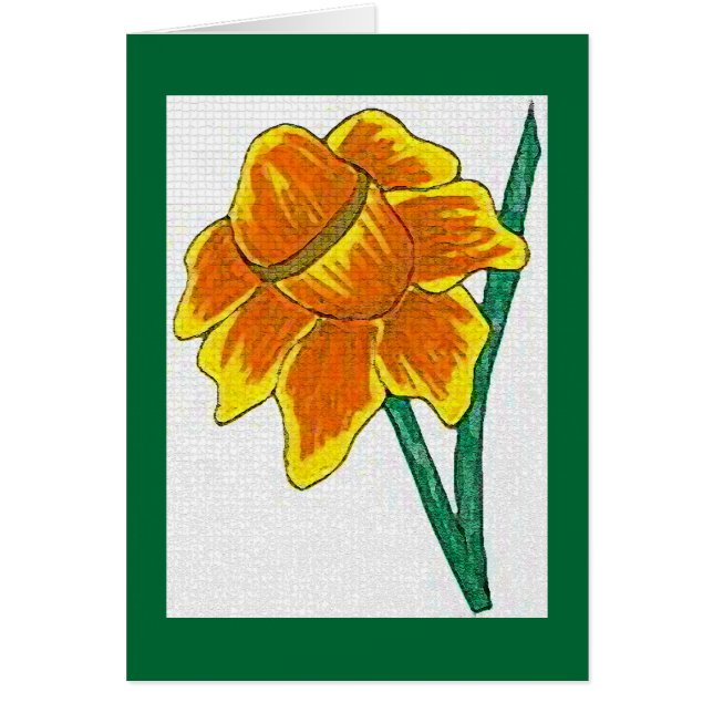 Daffodil (Front)