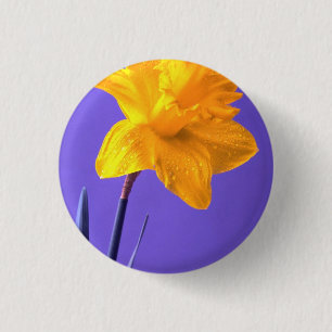 Daffodil 3 Cm Round Badge