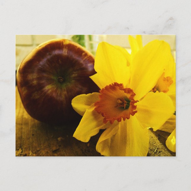 Daffodil & Apple Postcard (Front)