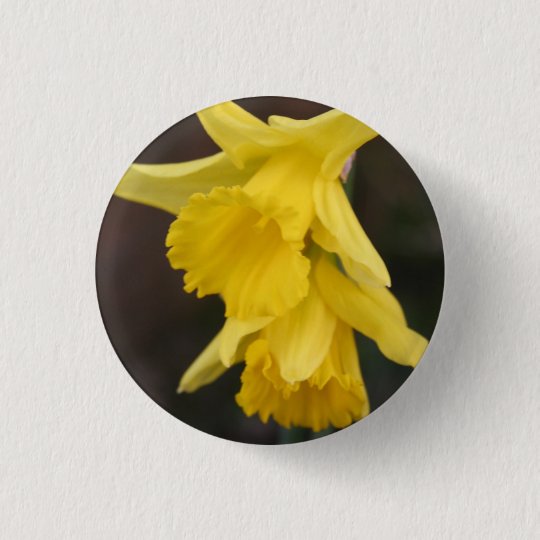 Daffodil Badge Zazzle.co.uk