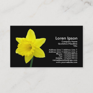 Daffodil - Black Business Card